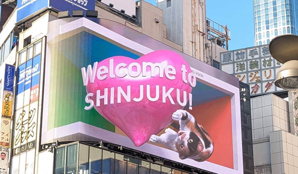 3D Cat Billboard